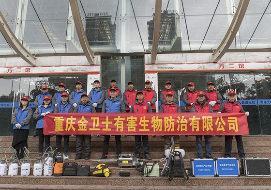 散白蟻侵害現(xiàn)代建筑，如何有效進(jìn)行白蟻防治處理