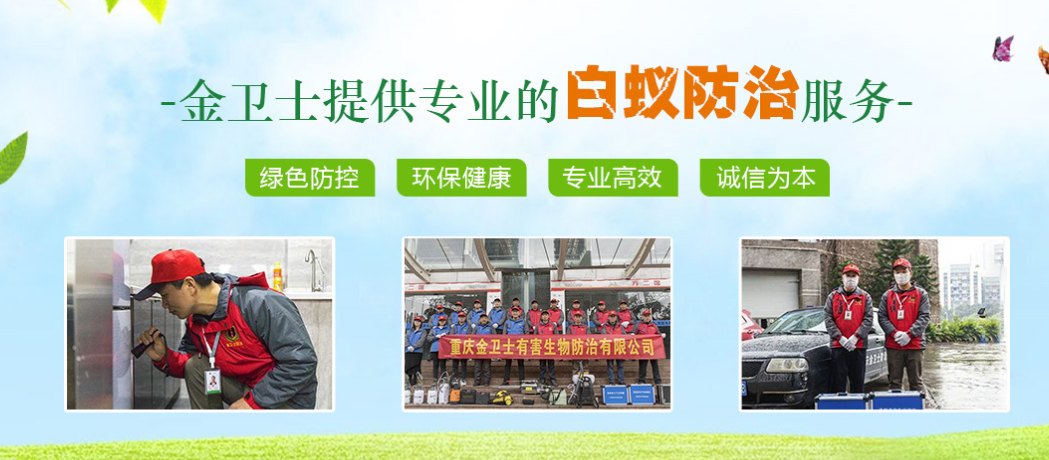 春季3月時(shí)期，白蟻消殺工作任重而道遠(yuǎn)  ?