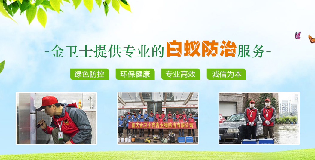 丑陋的蟑螂看起來很可怕。如何解決這種情況？
