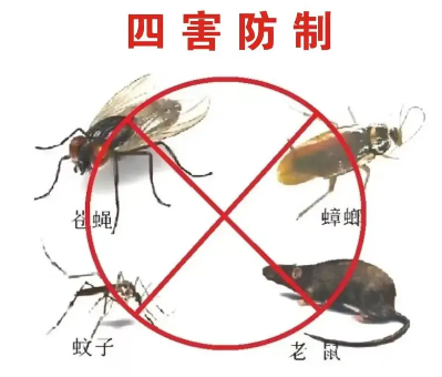 床墊易滋生吸血臭蟲(chóng)，怎樣預(yù)防呢？